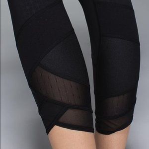 🍋Emerge Renewed Crop